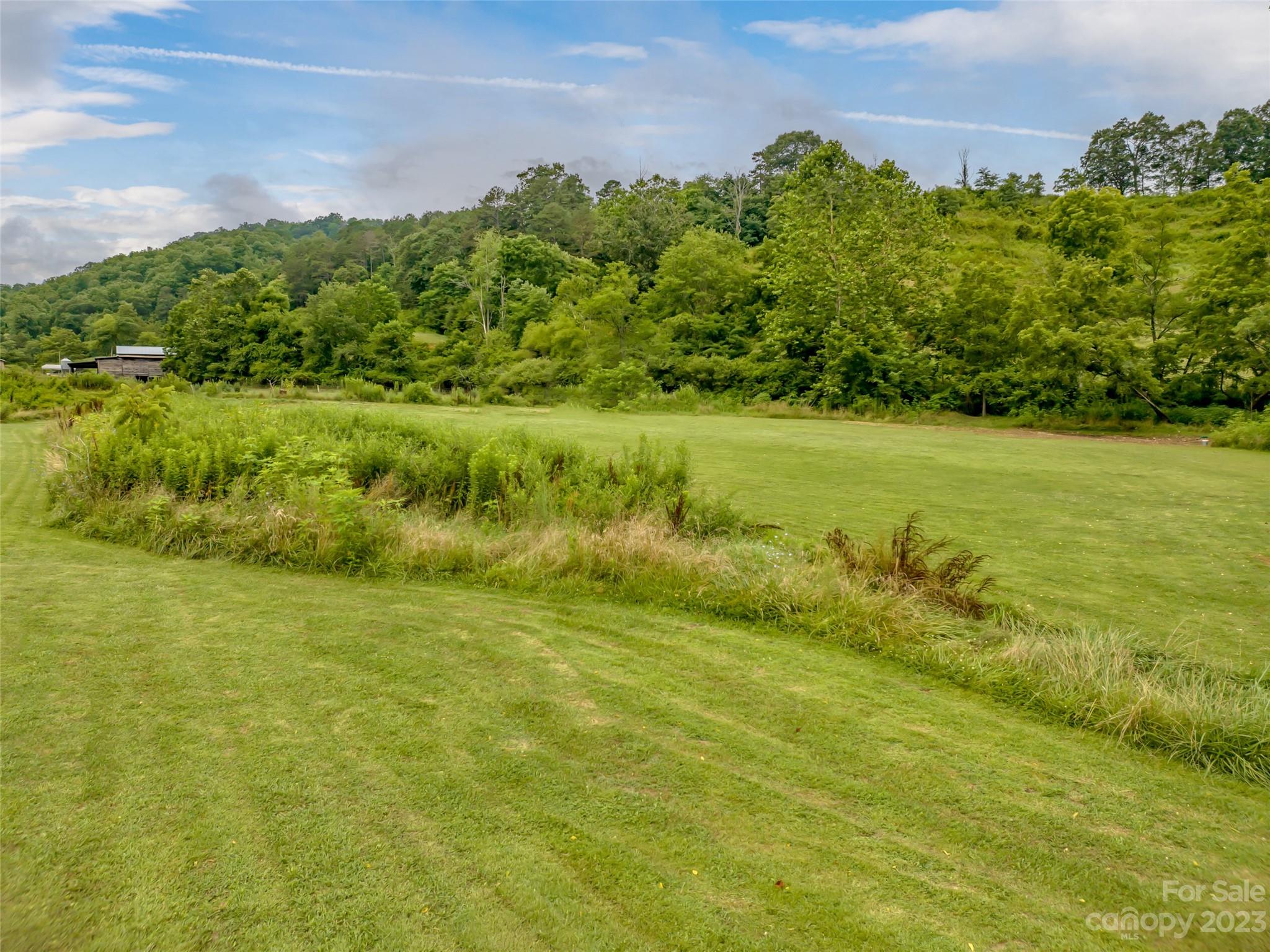 309 Sugar Creek Road Leicester, NC 28748 - Photo 8 of 23 a view of a field with an ocean