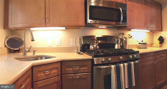 1608 Preston Road, Unit 80116 Alexandria, VA 22302 - Photo 21 of 21 Kitchen