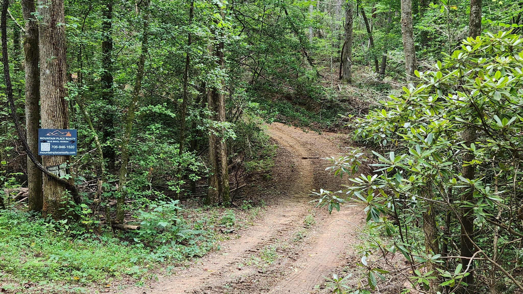 0 Tumbling Creek Road Copperhill, TN 37317 - Photo 55 of 62