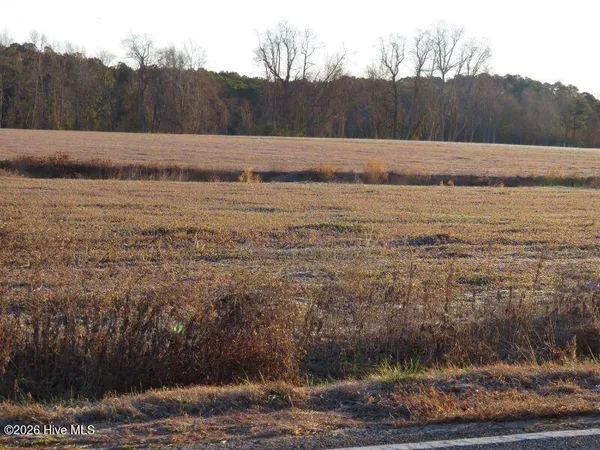 $60,000 | 3 East Raynham Road, Fairmont, NC 28340