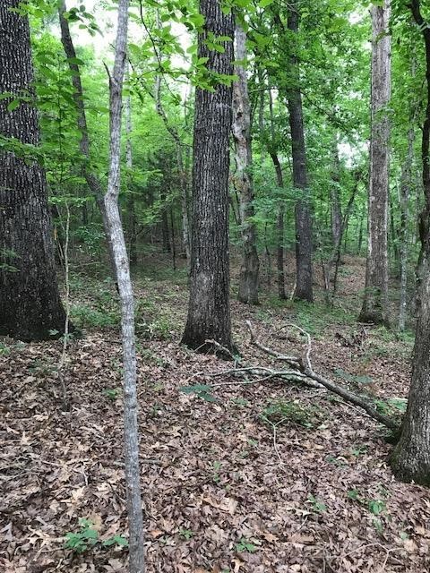 10.231 Hunnicutt Cove Road, Unit TRACT 5 Seneca, SC 29672 - Photo 13 of 15 Gallery Image 13
