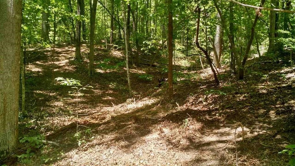 10.231 Hunnicutt Cove Road, Unit TRACT 5 Seneca, SC 29672 - Photo 15 of 15 Gallery Image 15