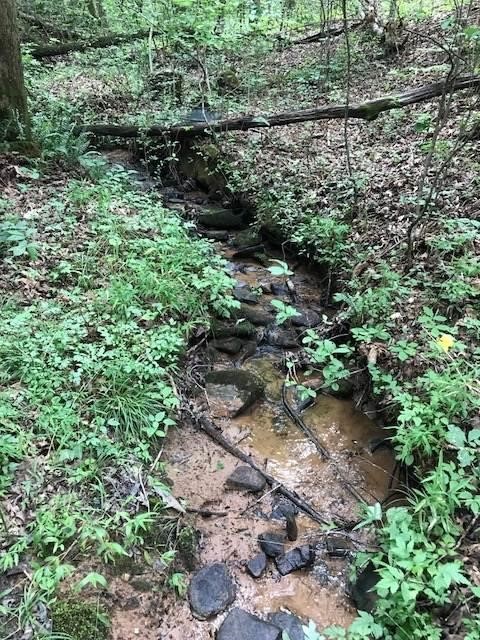 10.231 Hunnicutt Cove Road, Unit TRACT 5 Seneca, SC 29672 - Photo 4 of 15 Gallery Image 4