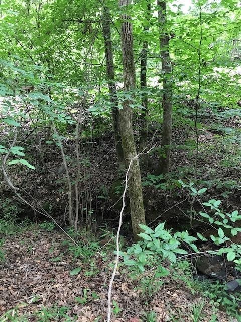 10.231 Hunnicutt Cove Road, Unit TRACT 5 Seneca, SC 29672 - Photo 7 of 15 Gallery Image 7