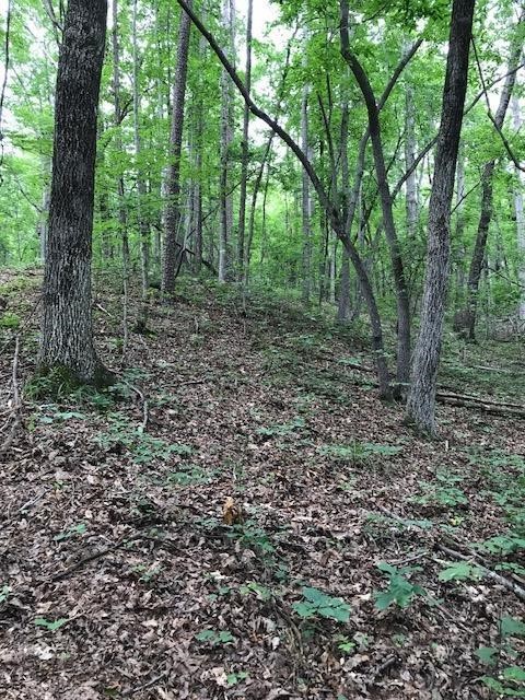10.231 Hunnicutt Cove Road, Unit TRACT 5 Seneca, SC 29672 - Photo 8 of 15 Gallery Image 8