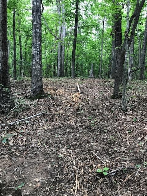10.231 Hunnicutt Cove Road, Unit TRACT 5 Seneca, SC 29672 - Photo 10 of 15 Gallery Image 10