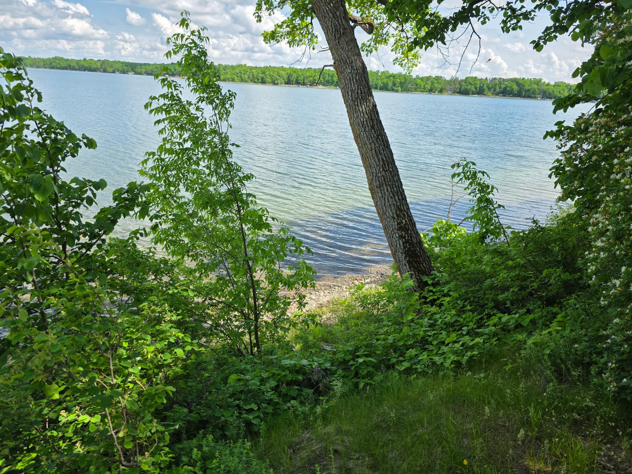 20885 Leona Beach Road Rochert, MN 56578 - Photo 25 of 39