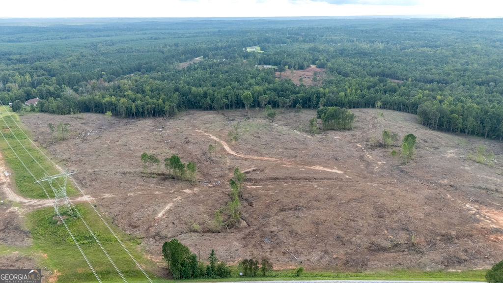 a view of a dry yard with trees