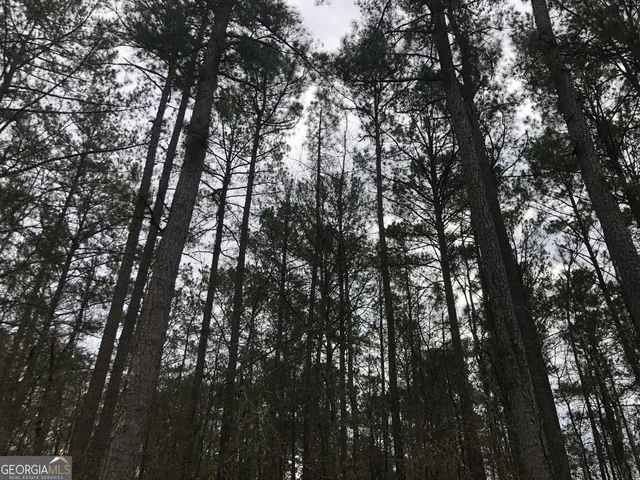 $137,500 | 2387 Lassiter Road, Forsyth, GA 31029