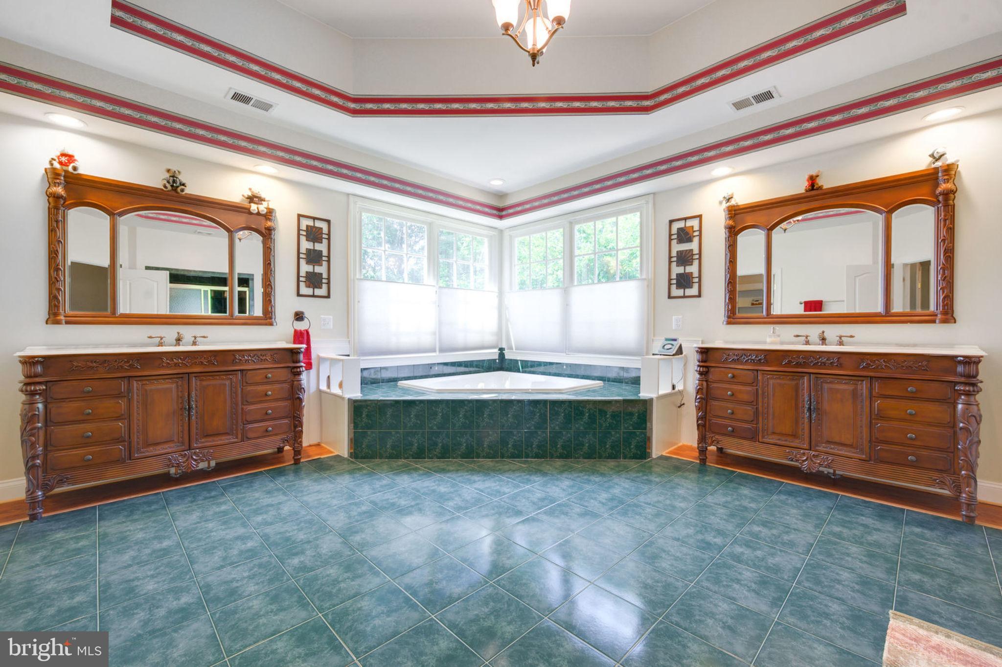 12100 North Walnut Branch Road Reston, VA 20194 - Photo 44 of 124 Master Bath