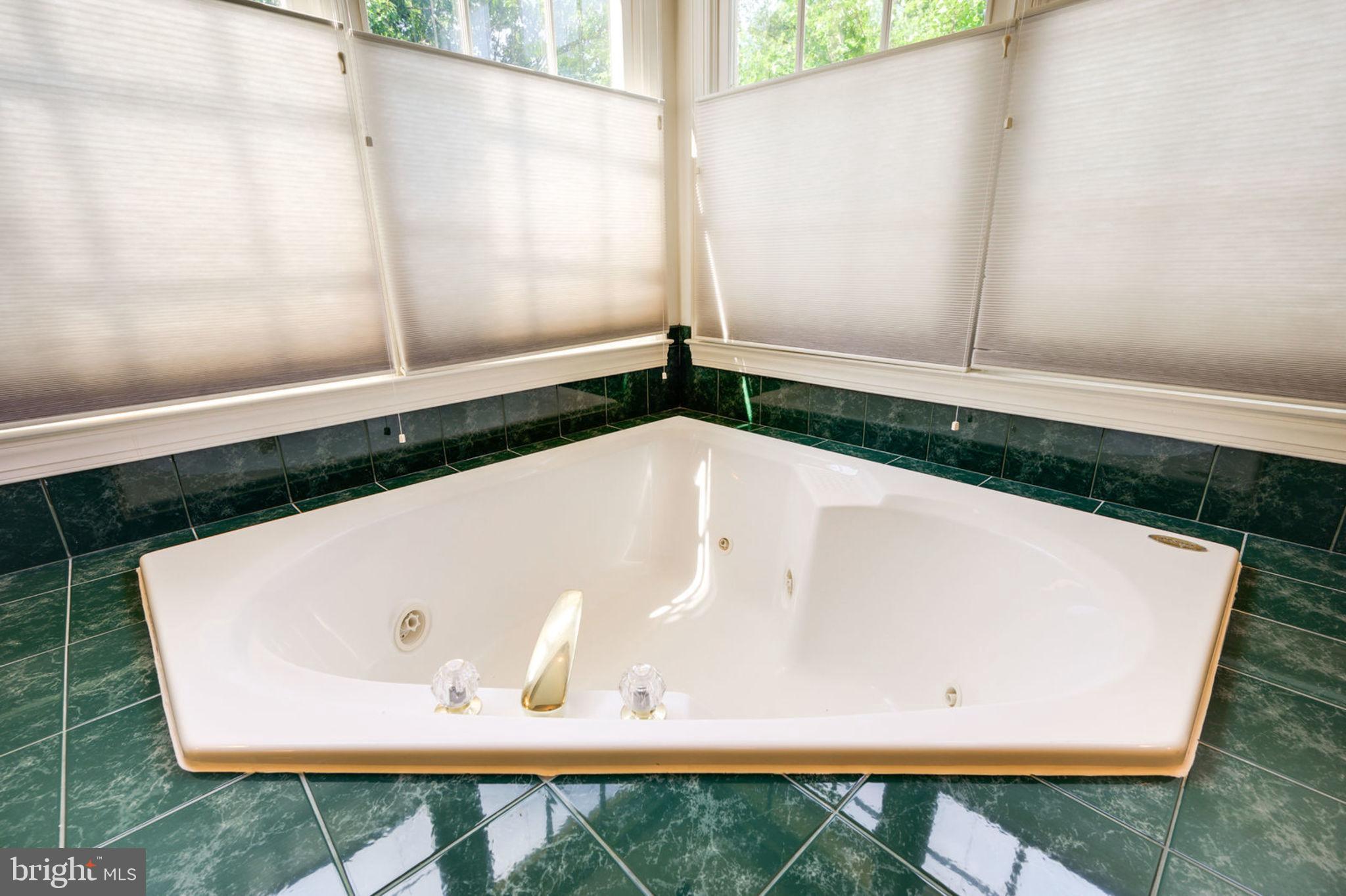 12100 North Walnut Branch Road Reston, VA 20194 - Photo 45 of 124 Master Bath Jet Tub