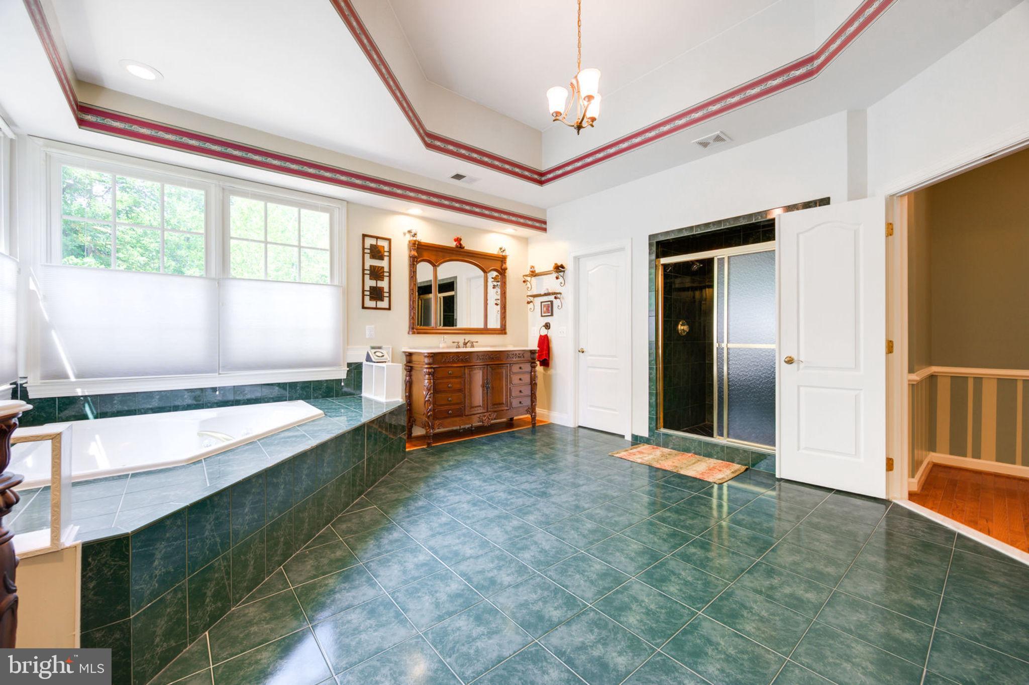12100 North Walnut Branch Road Reston, VA 20194 - Photo 46 of 124 Master Bath