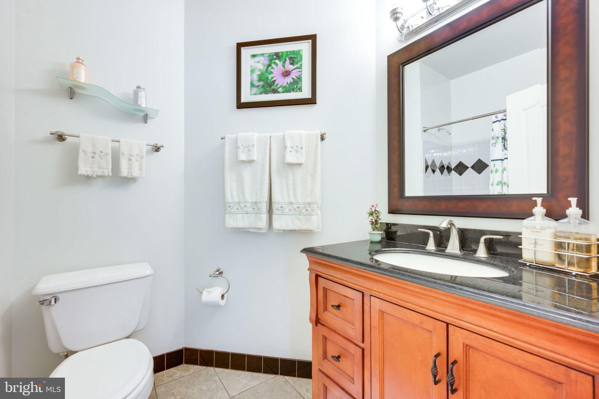 12100 North Walnut Branch Road Reston, VA 20194 - Photo 51 of 124 Full Bath