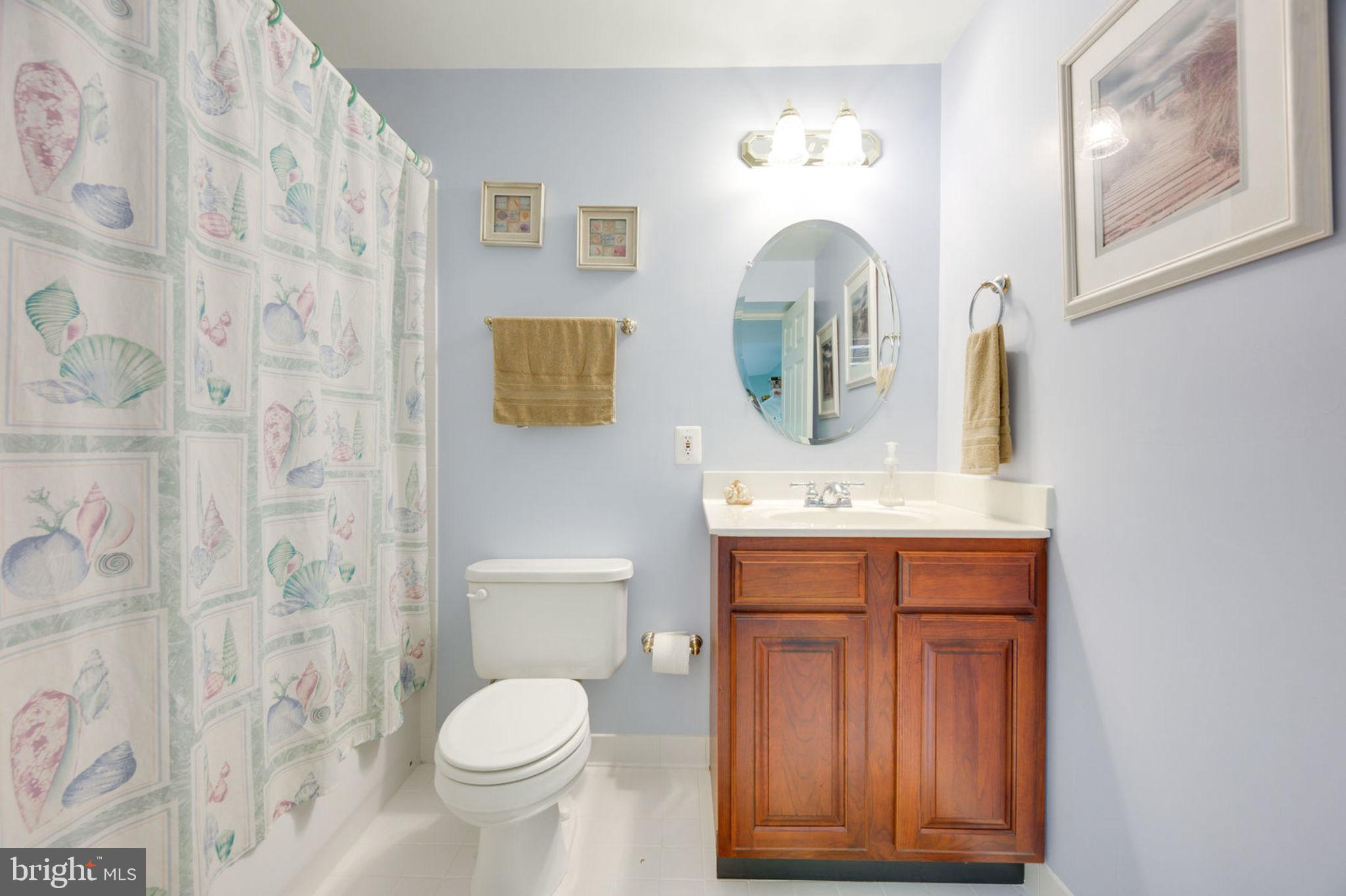 12100 North Walnut Branch Road Reston, VA 20194 - Photo 68 of 124 Full Bath