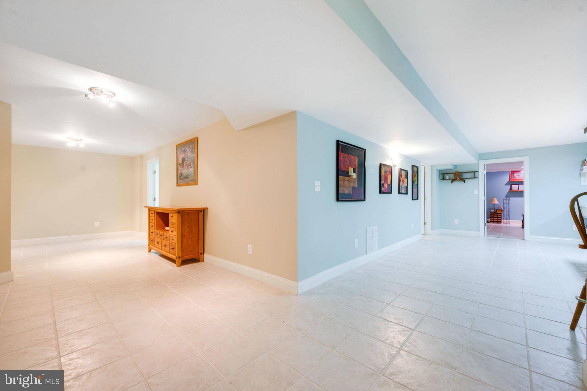 12100 North Walnut Branch Road Reston, VA 20194 - Photo 76 of 124 Lower Level