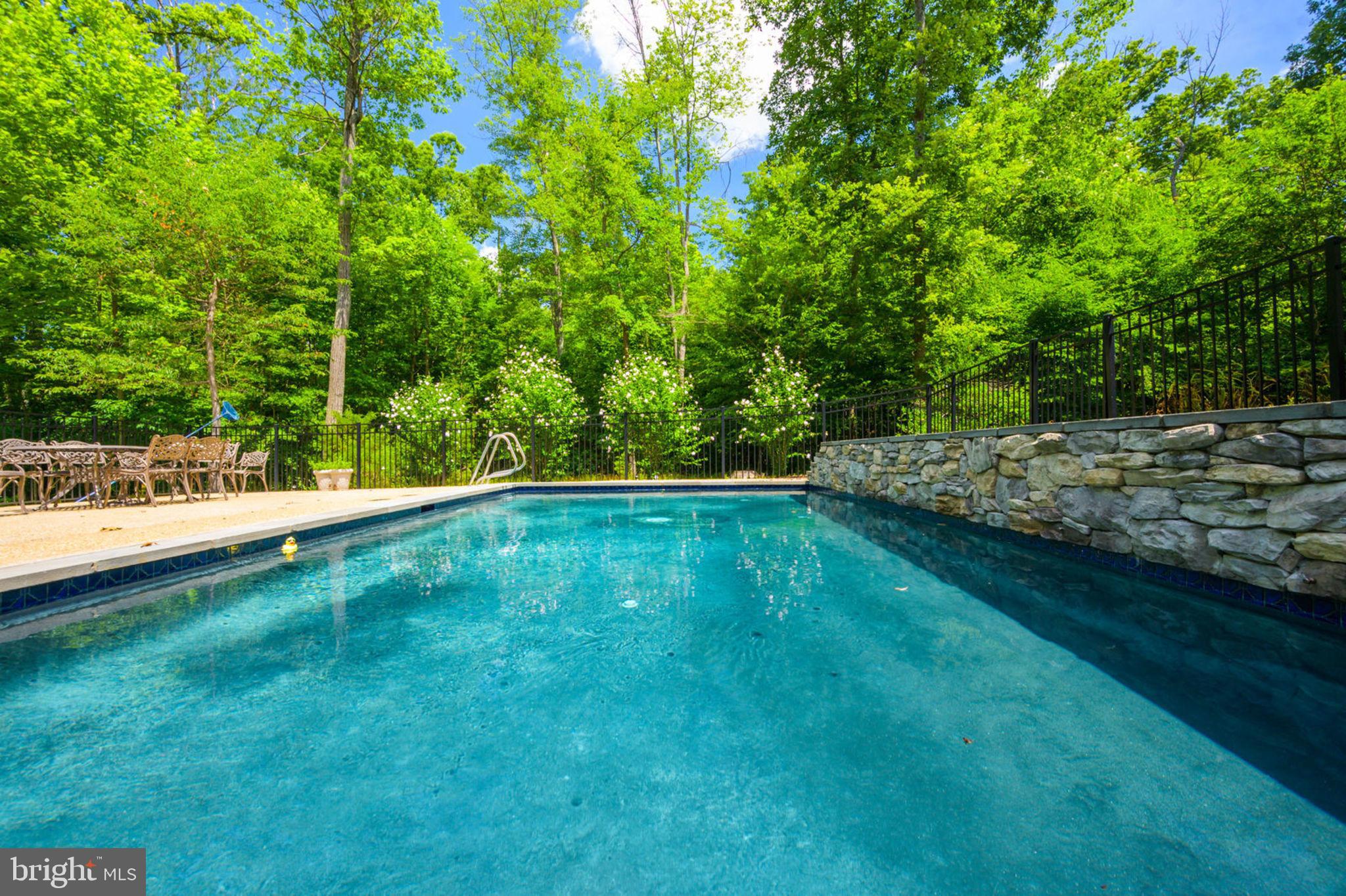 12100 North Walnut Branch Road Reston, VA 20194 - Photo 97 of 124 Pool
