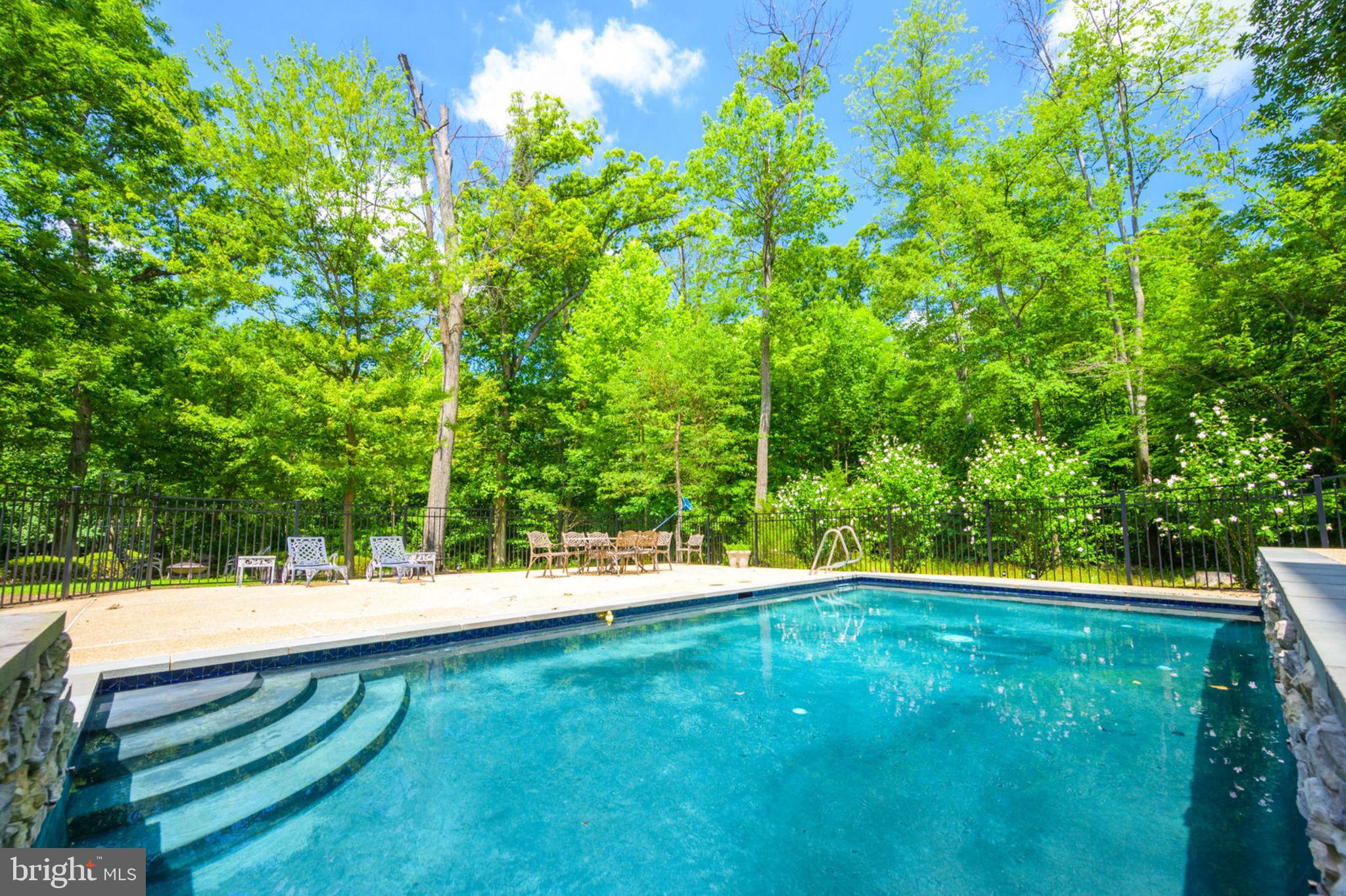 12100 North Walnut Branch Road Reston, VA 20194 - Photo 98 of 124 Pool