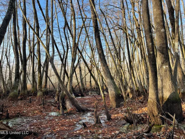 $80,125 | 0 Quofaloma Road, Tchula, MS 39169