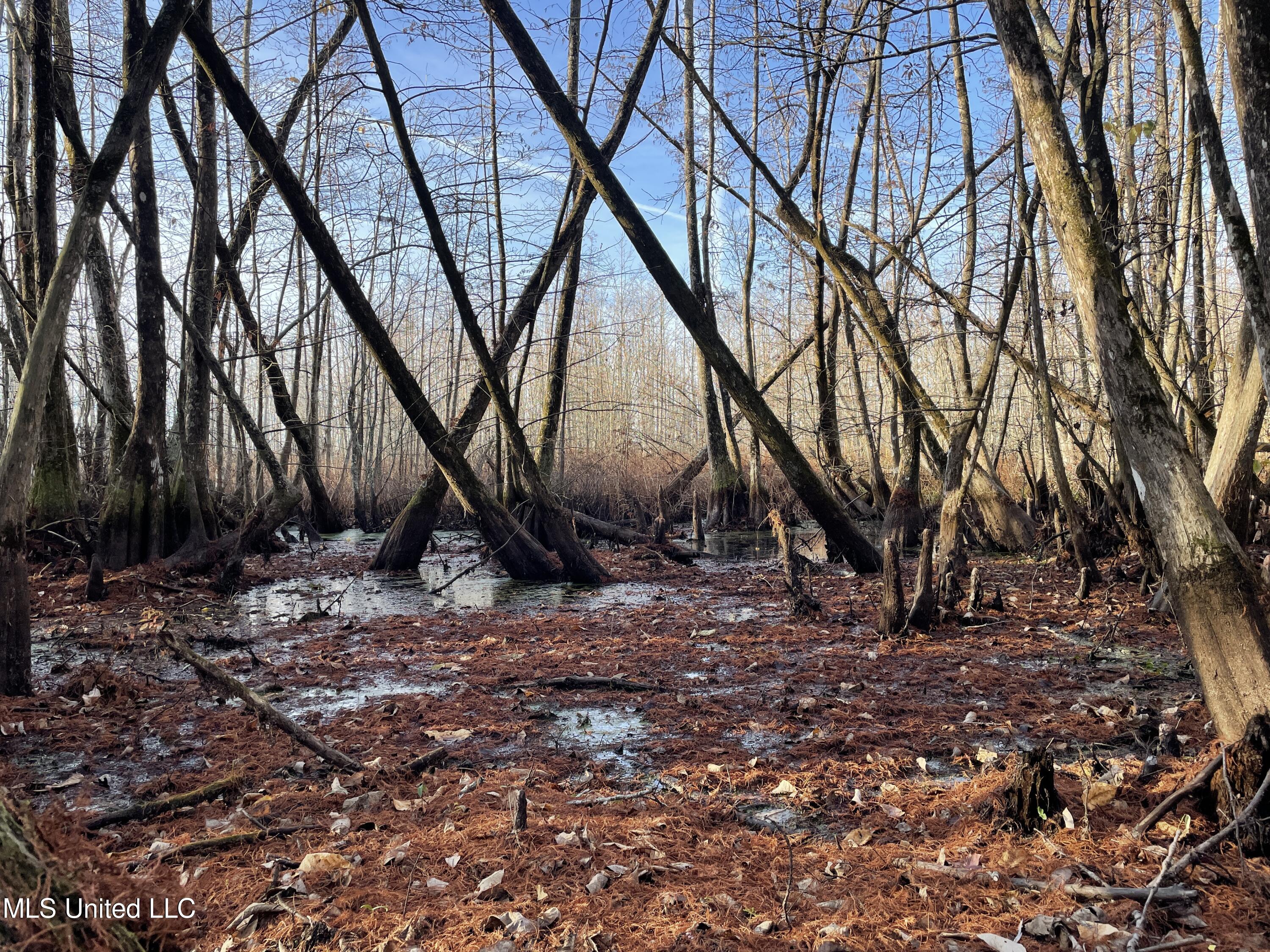 0 Quofaloma Road Tchula, MS 39169 - Photo 12 of 33 8