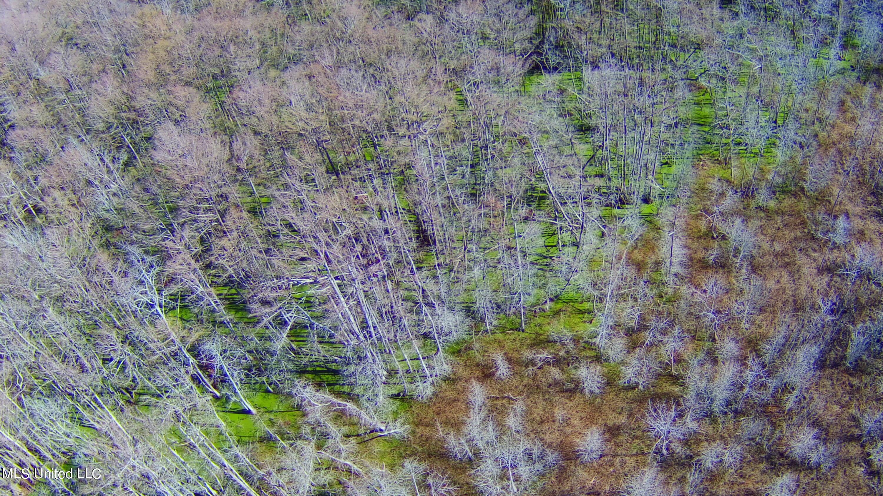 0 Quofaloma Road Tchula, MS 39169 - Photo 13 of 33 6