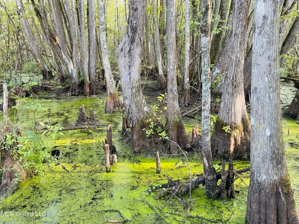 $80,125 | 0 Quofaloma Road, Tchula, MS 39169