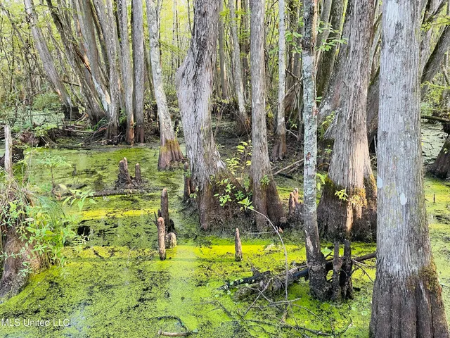 $94,500 | 0 Quofaloma Road, Tchula, MS 39169