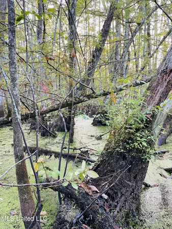 $80,125 | 0 Quofaloma Road, Tchula, MS 39169