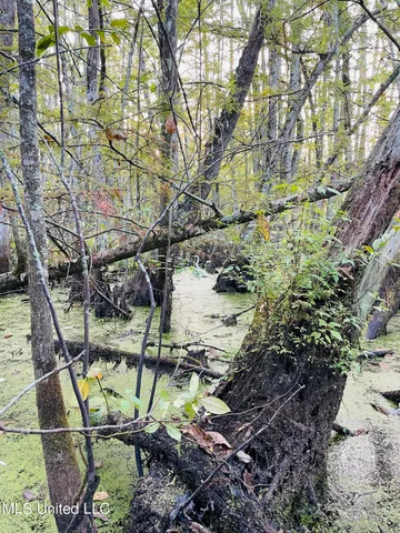 $94,500 | 0 Quofaloma Road, Tchula, MS 39169