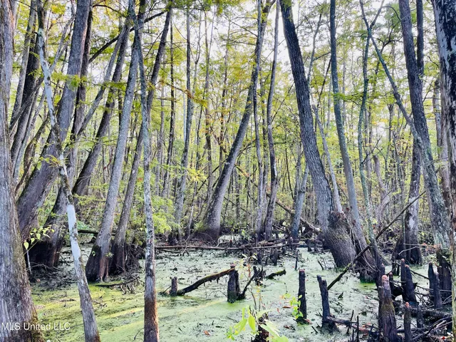 $94,500 | 0 Quofaloma Road, Tchula, MS 39169