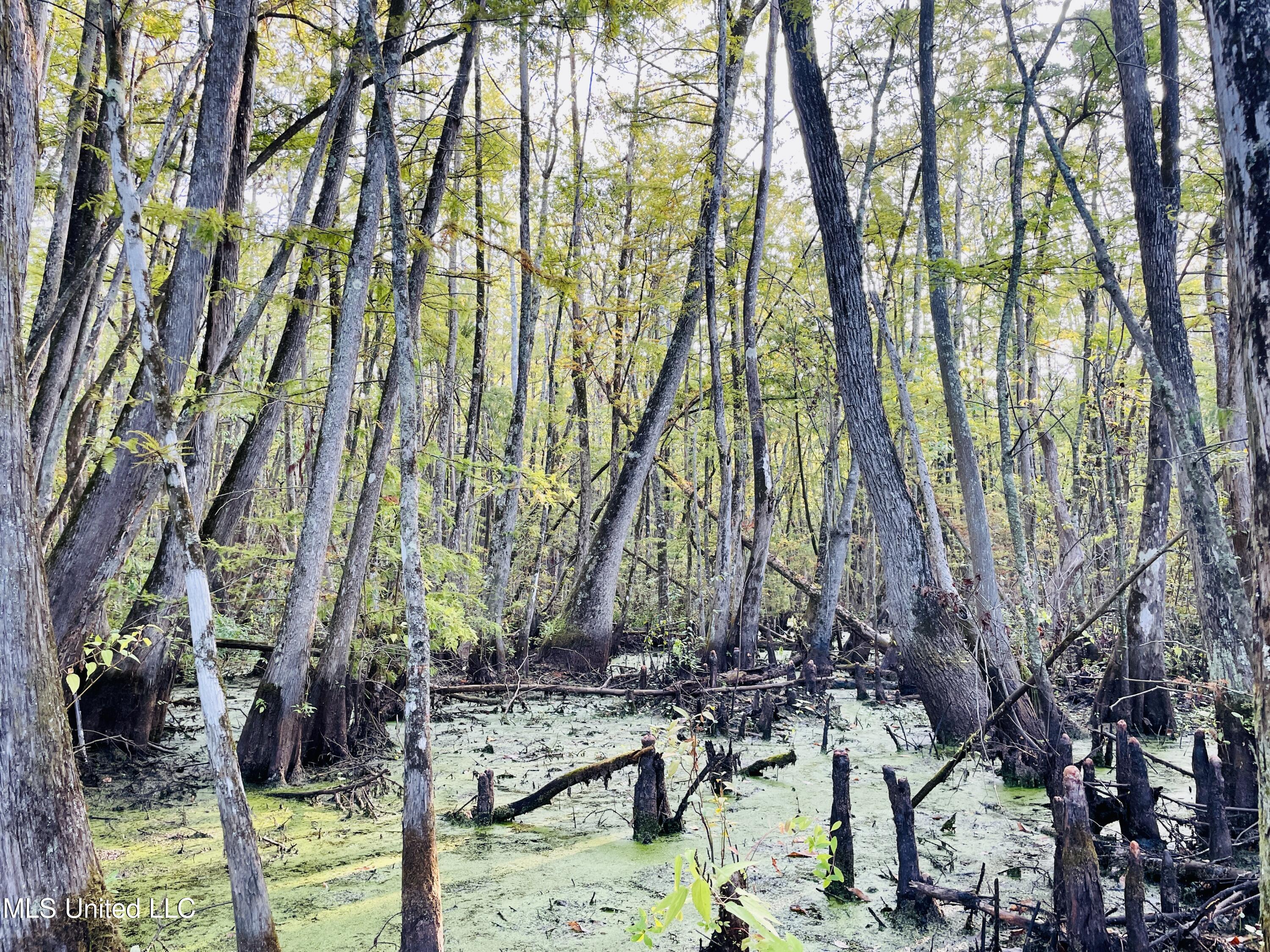 0 Quofaloma Road Tchula, MS 39169 - Photo 17 of 33 IMG_8534