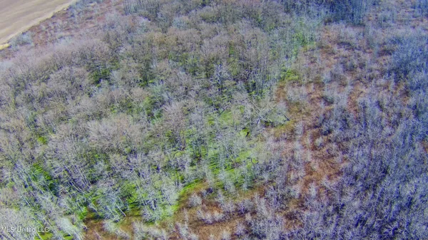 $80,125 | 0 Quofaloma Road, Tchula, MS 39169