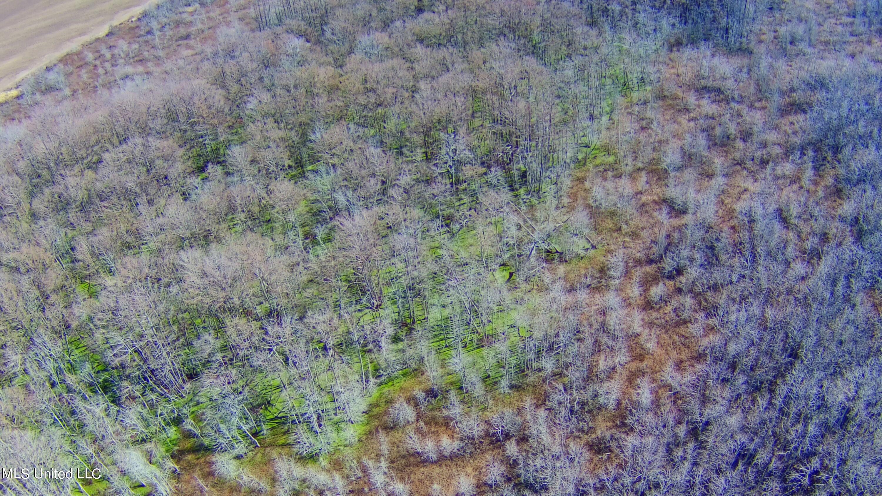 0 Quofaloma Road Tchula, MS 39169 - Photo 18 of 33 7