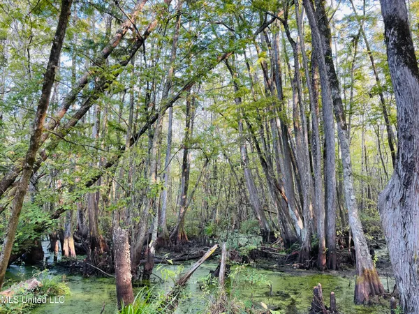 $80,125 | 0 Quofaloma Road, Tchula, MS 39169