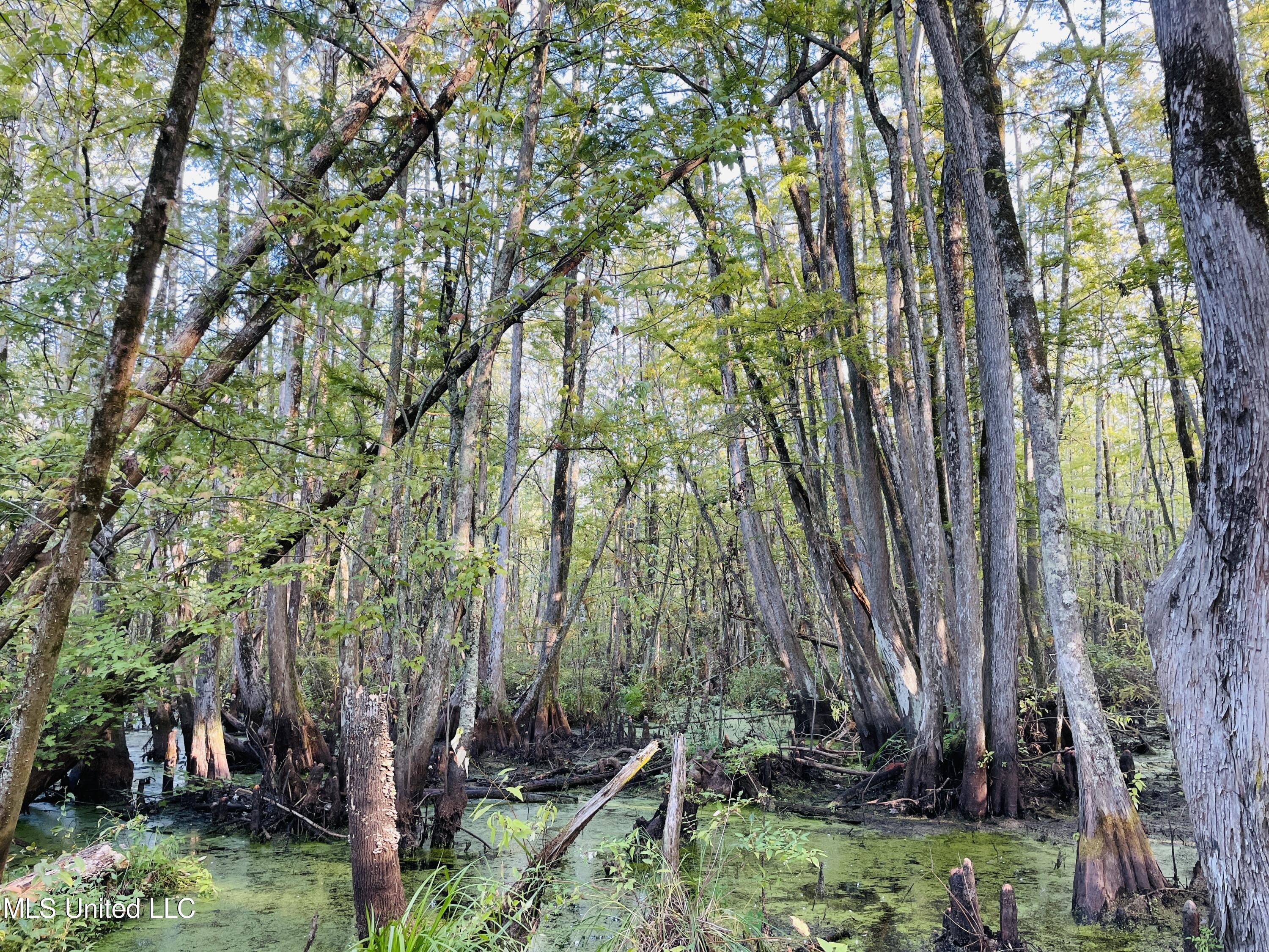 0 Quofaloma Road Tchula, MS 39169 - Photo 19 of 33 IMG_8535