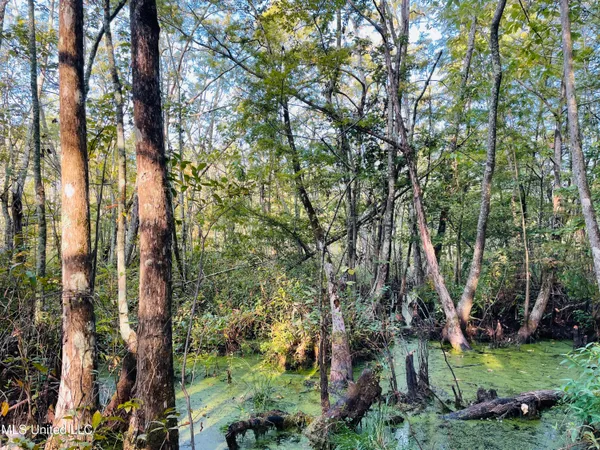 $80,125 | 0 Quofaloma Road, Tchula, MS 39169