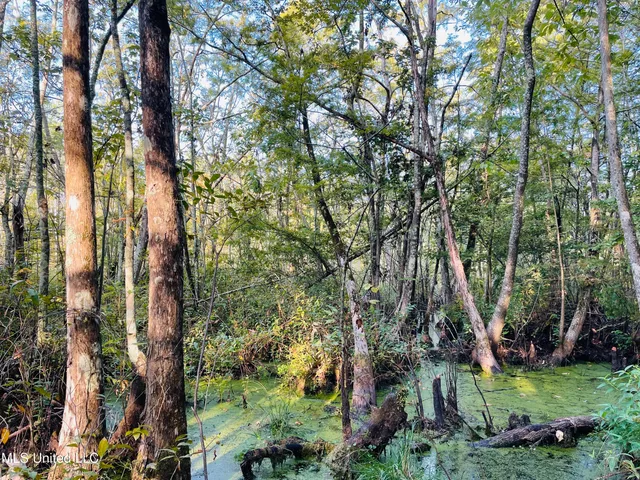 $94,500 | 0 Quofaloma Road, Tchula, MS 39169