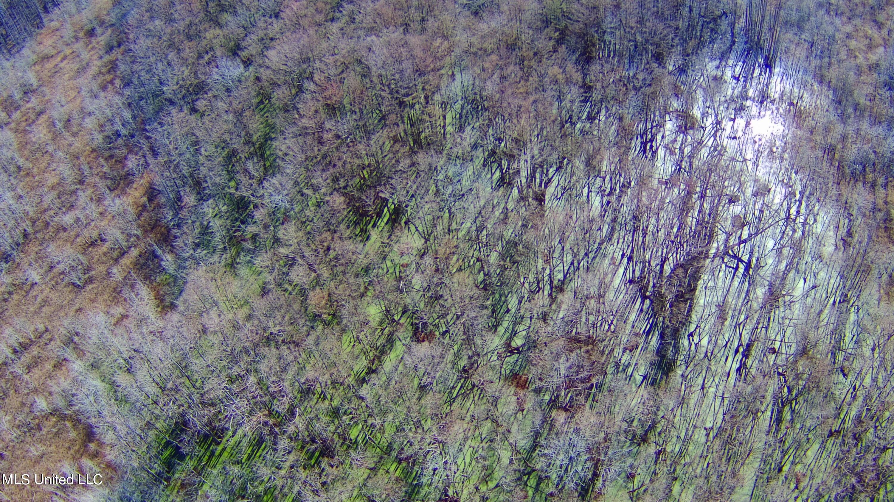 0 Quofaloma Road Tchula, MS 39169 - Photo 21 of 33 12