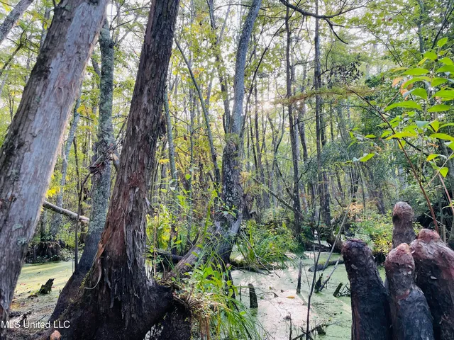 $94,500 | 0 Quofaloma Road, Tchula, MS 39169