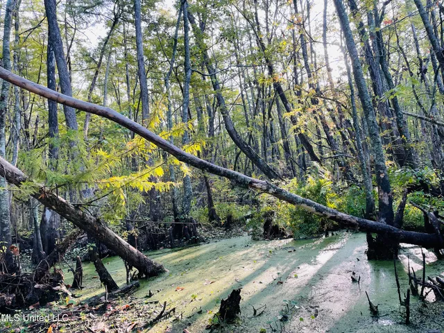 $94,500 | 0 Quofaloma Road, Tchula, MS 39169