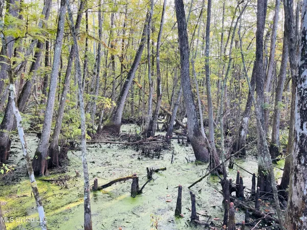 $80,125 | 0 Quofaloma Road, Tchula, MS 39169