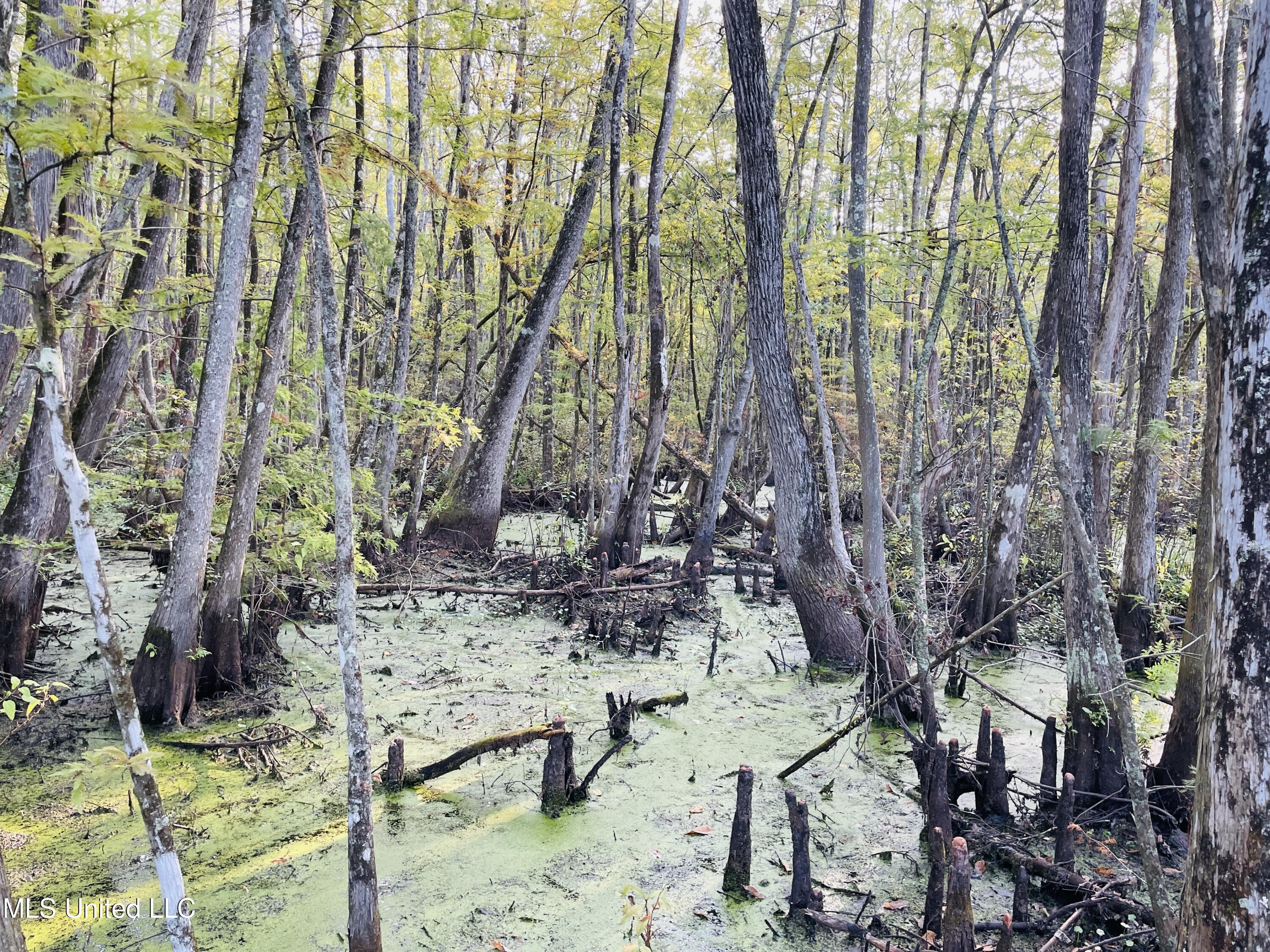 0 Quofaloma Road Tchula, MS 39169 - Photo 24 of 33 IMG_8538