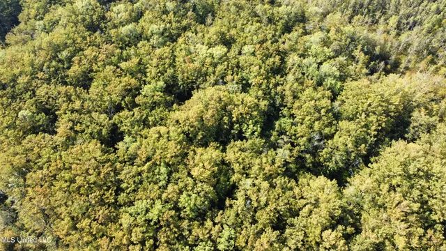 $94,500 | 0 Quofaloma Road, Tchula, MS 39169