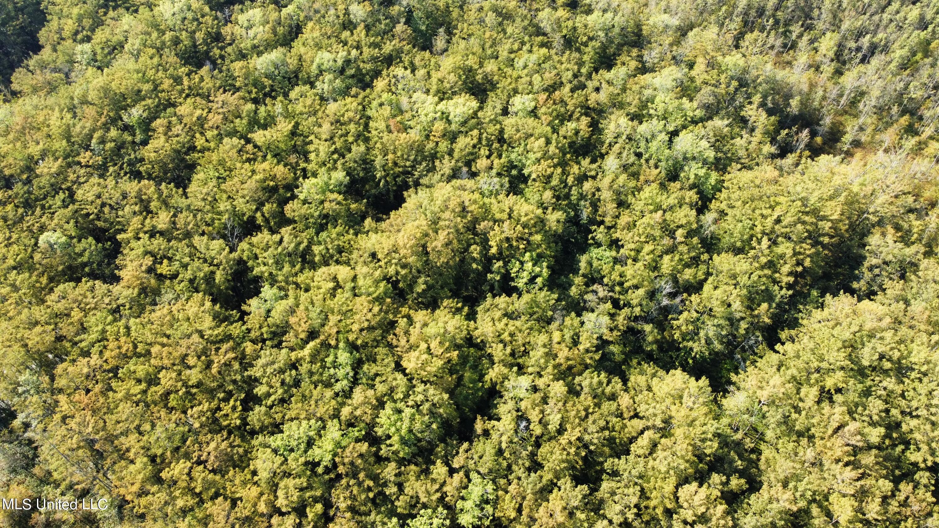 0 Quofaloma Road Tchula, MS 39169 - Photo 26 of 33 dji_fly_20230926_095326_990_169574654987