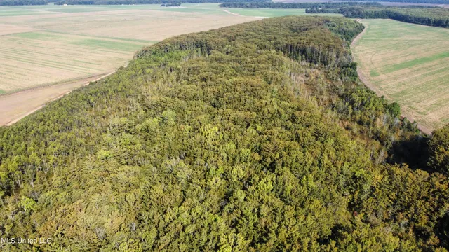 $94,500 | 0 Quofaloma Road, Tchula, MS 39169