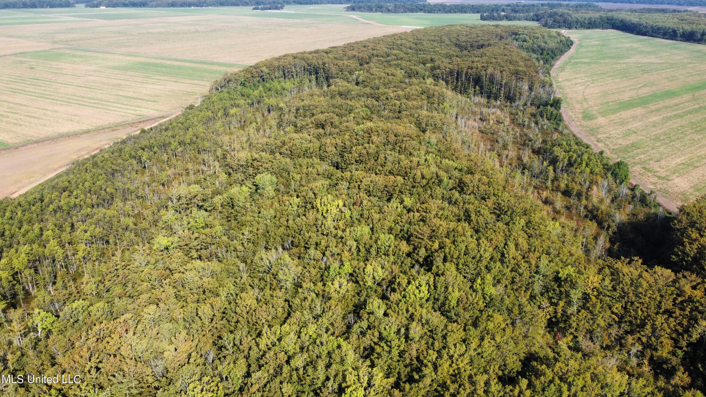0 Quofaloma Road Tchula, MS 39169 - Photo 27 of 33 dji_fly_20230926_095158_988_169574655270