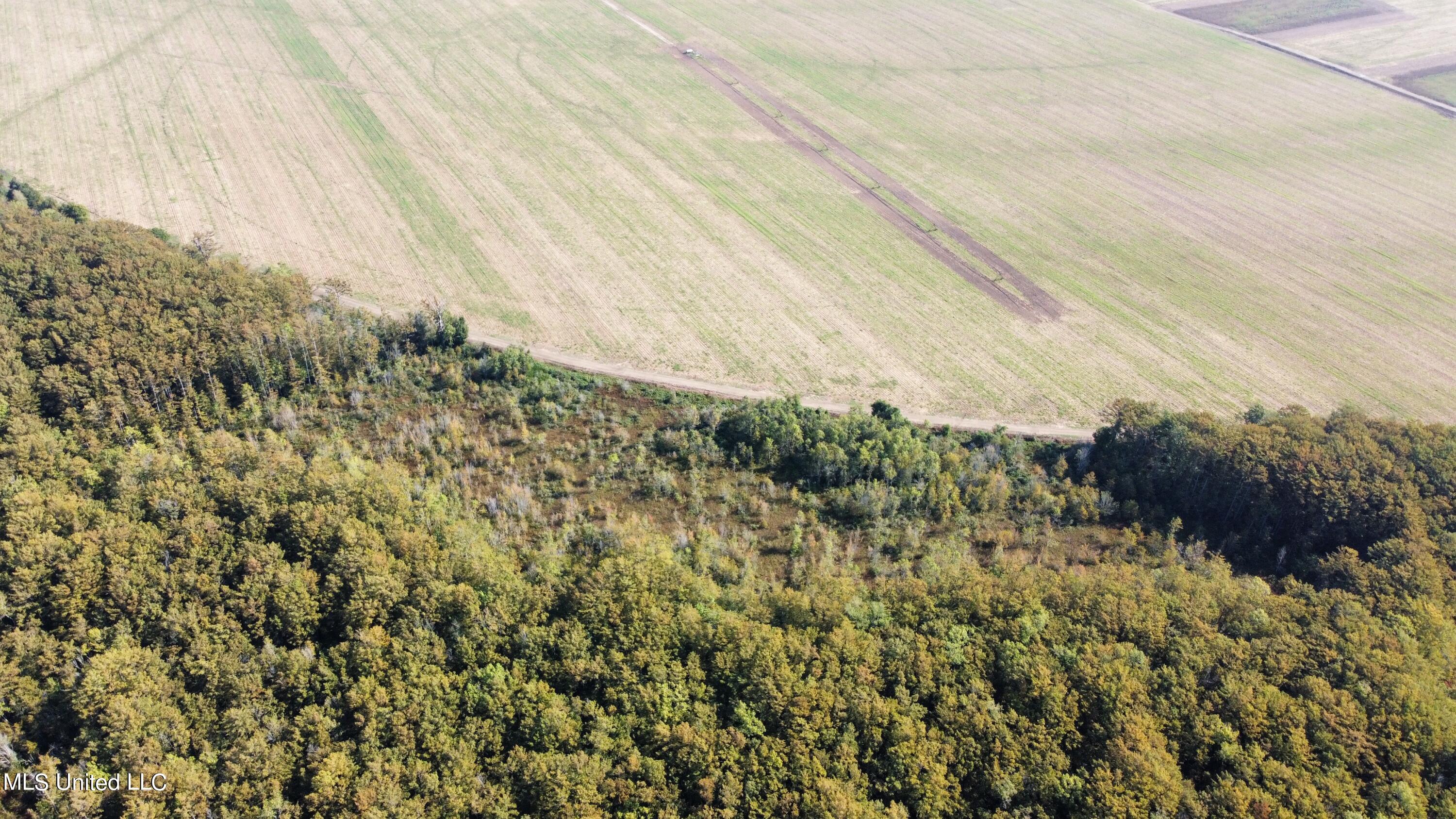 0 Quofaloma Road Tchula, MS 39169 - Photo 28 of 33 dji_fly_20230926_095630_993_169574654515