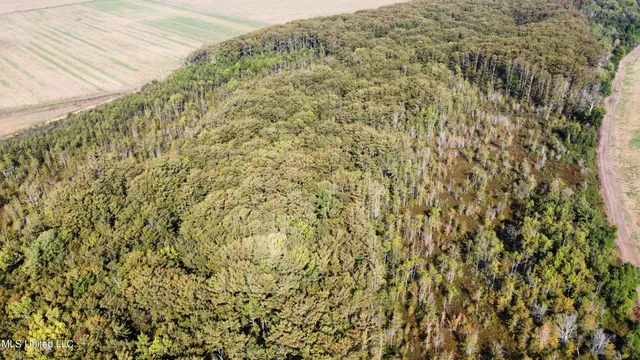 $94,500 | 0 Quofaloma Road, Tchula, MS 39169