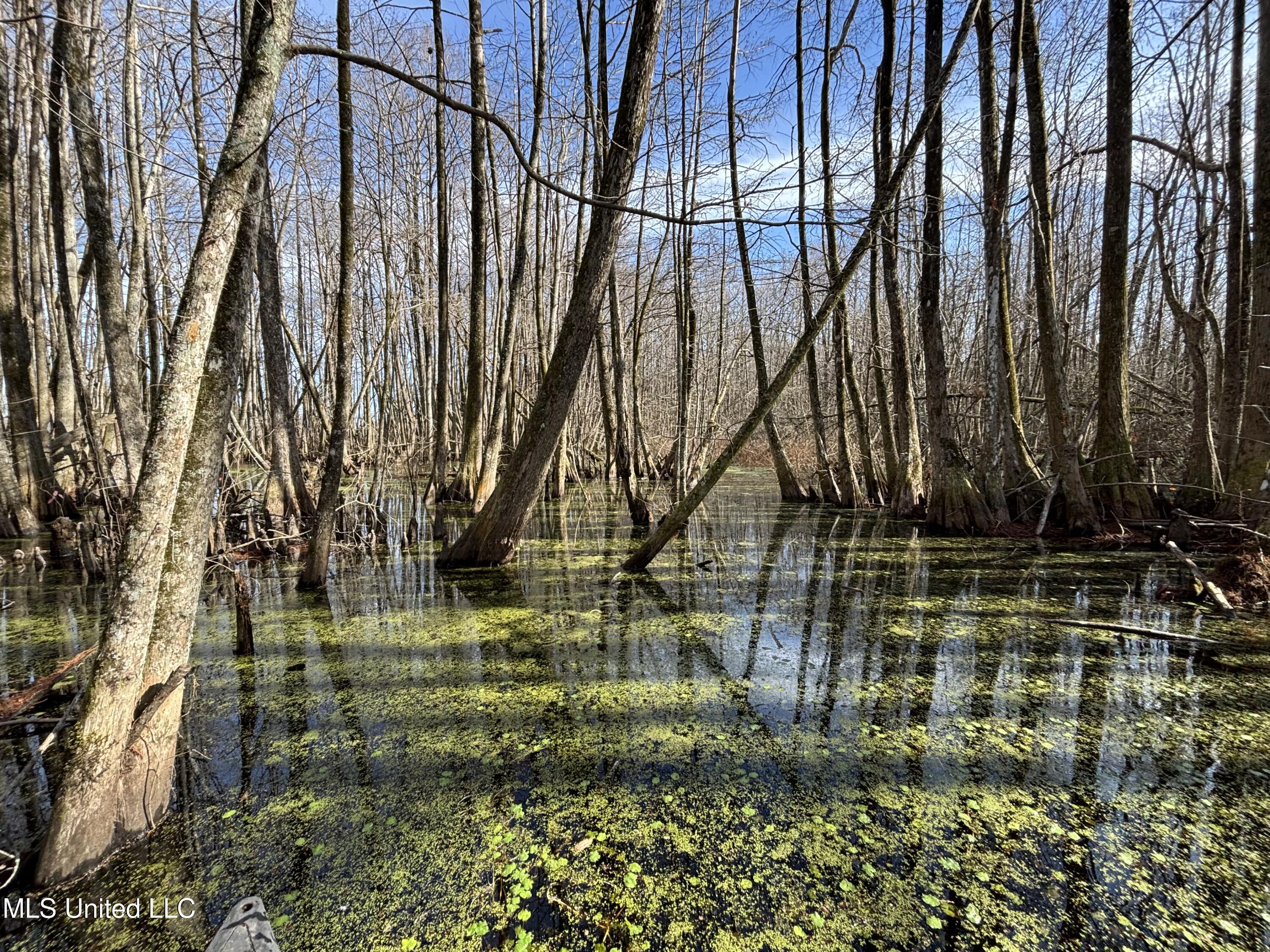 0 Quofaloma Road Tchula, MS 39169 - Photo 3 of 33 IMG_0179