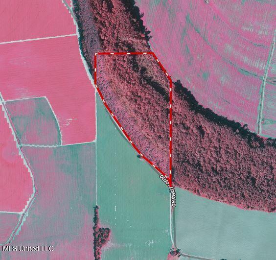 0 Quofaloma Road Tchula, MS 39169 - Photo 32 of 33 infared