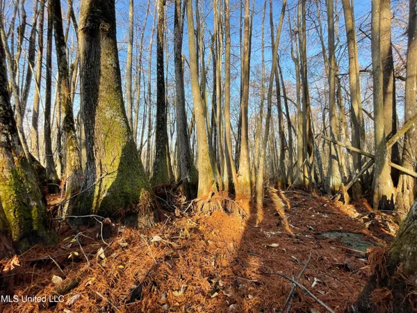 $80,125 | 0 Quofaloma Road, Tchula, MS 39169